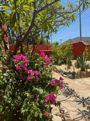 Hotel Margarita 4*