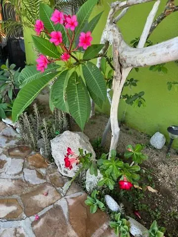 Margarita Hotel Buenavista (Baja California Sur)